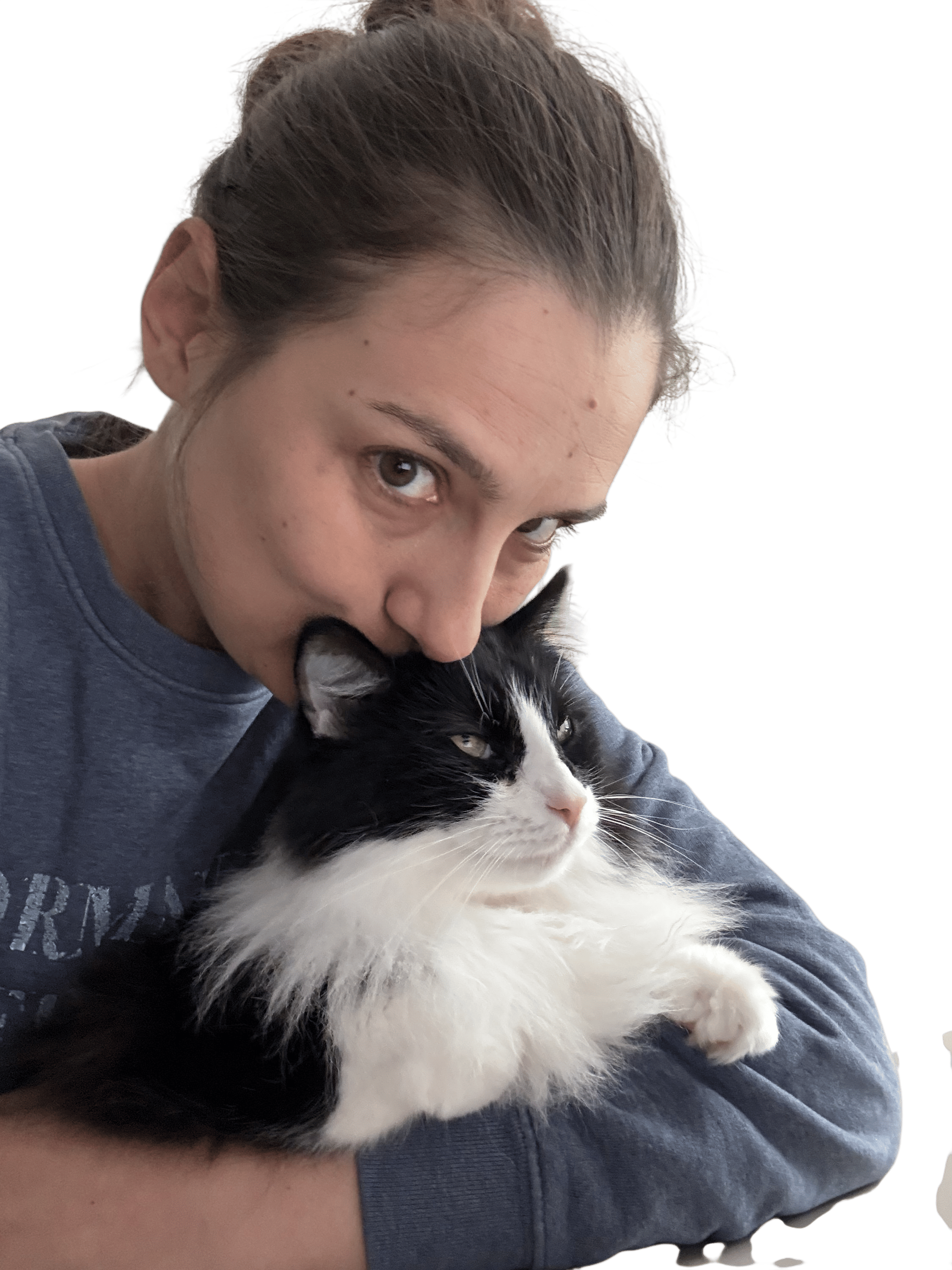 Working with a Cat on your Lap