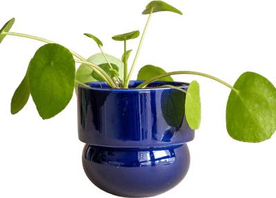 Handmade Ceramic Leaf Planter