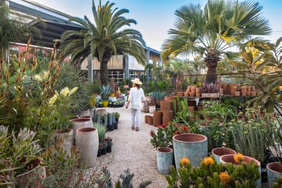 Flora Grubb Gardens