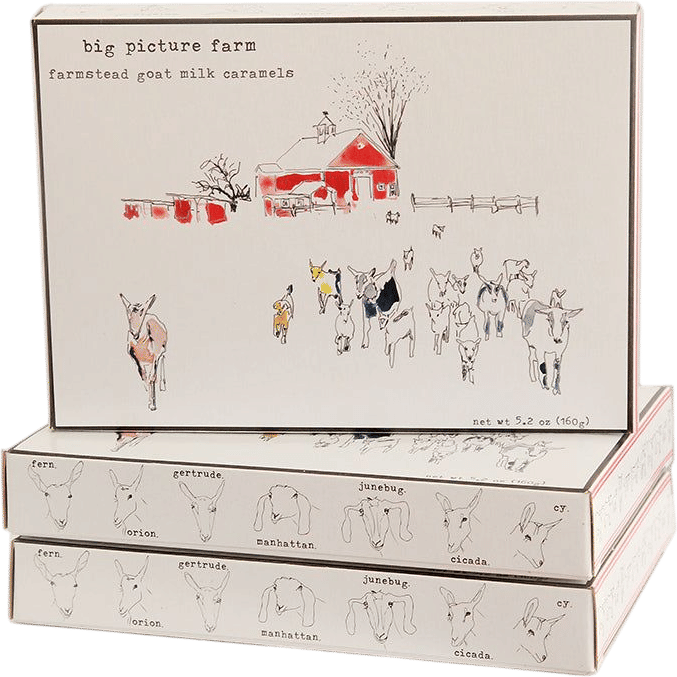Big Picture Farm Storyboard Caramel Gift Box
