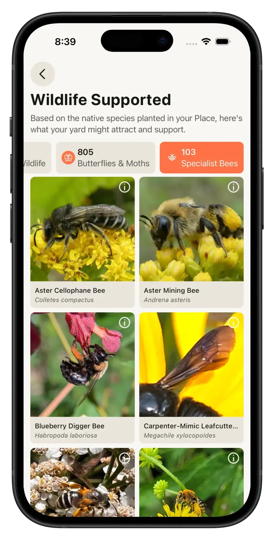 Wildr App: Native Plant Recommendations