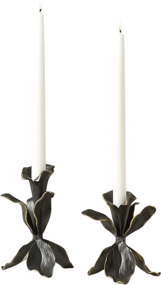 Iris Blackened Brass Taper Candle Holders Set of 2