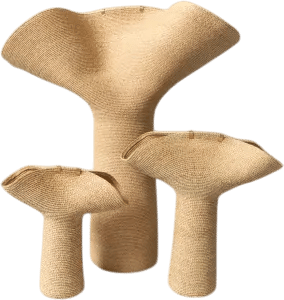 Members-Only Recommendation