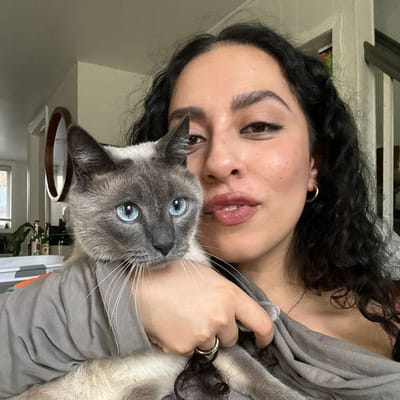 Danya Issawi