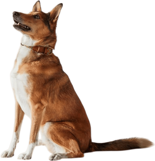 Members-Only Recommendation