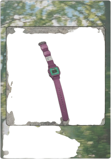Evora Watches