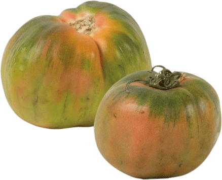 Sorrento Tomato Seeds