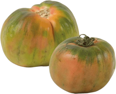 Sorrento Tomato Seeds