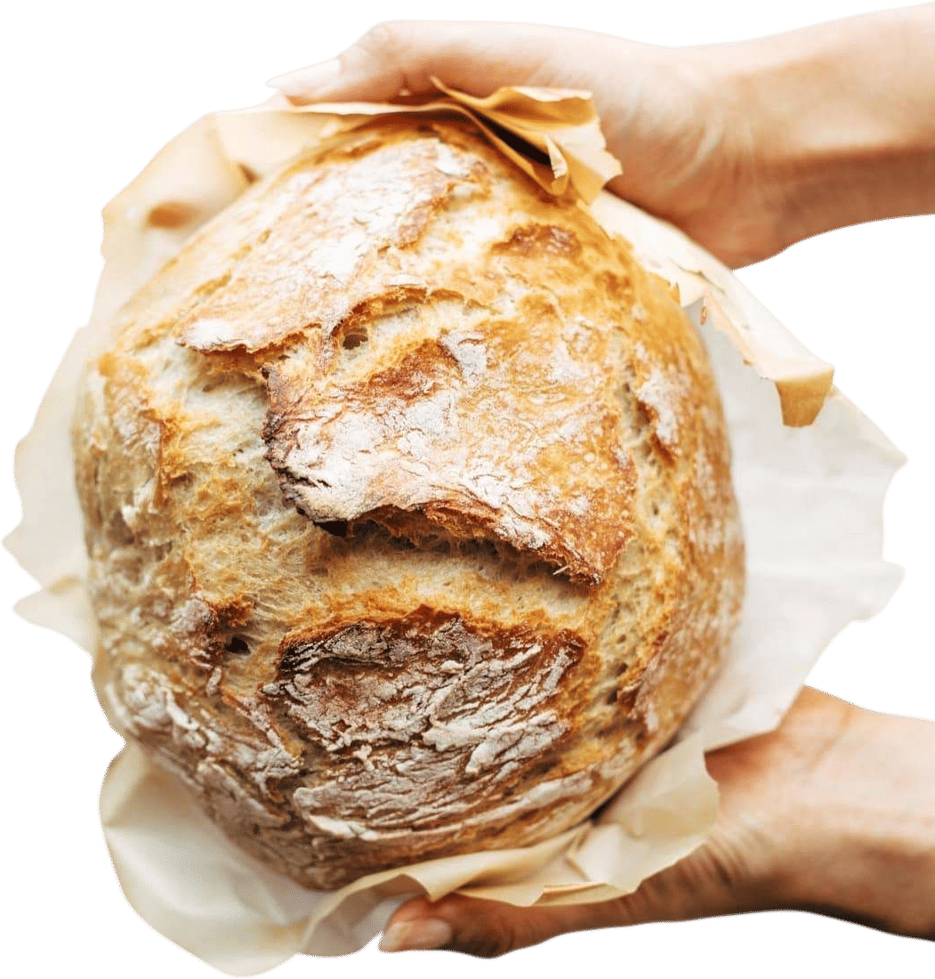 Miracle No Knead Bread