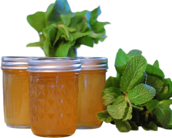 mint jelly