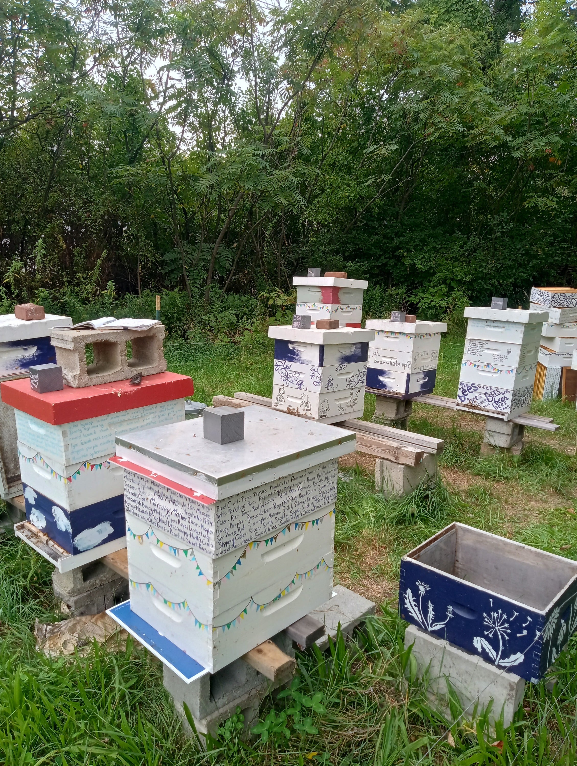painting mismatched beehives