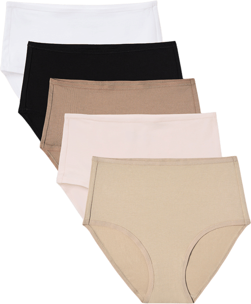 Women's Everyday High Rise Brief 5-pack