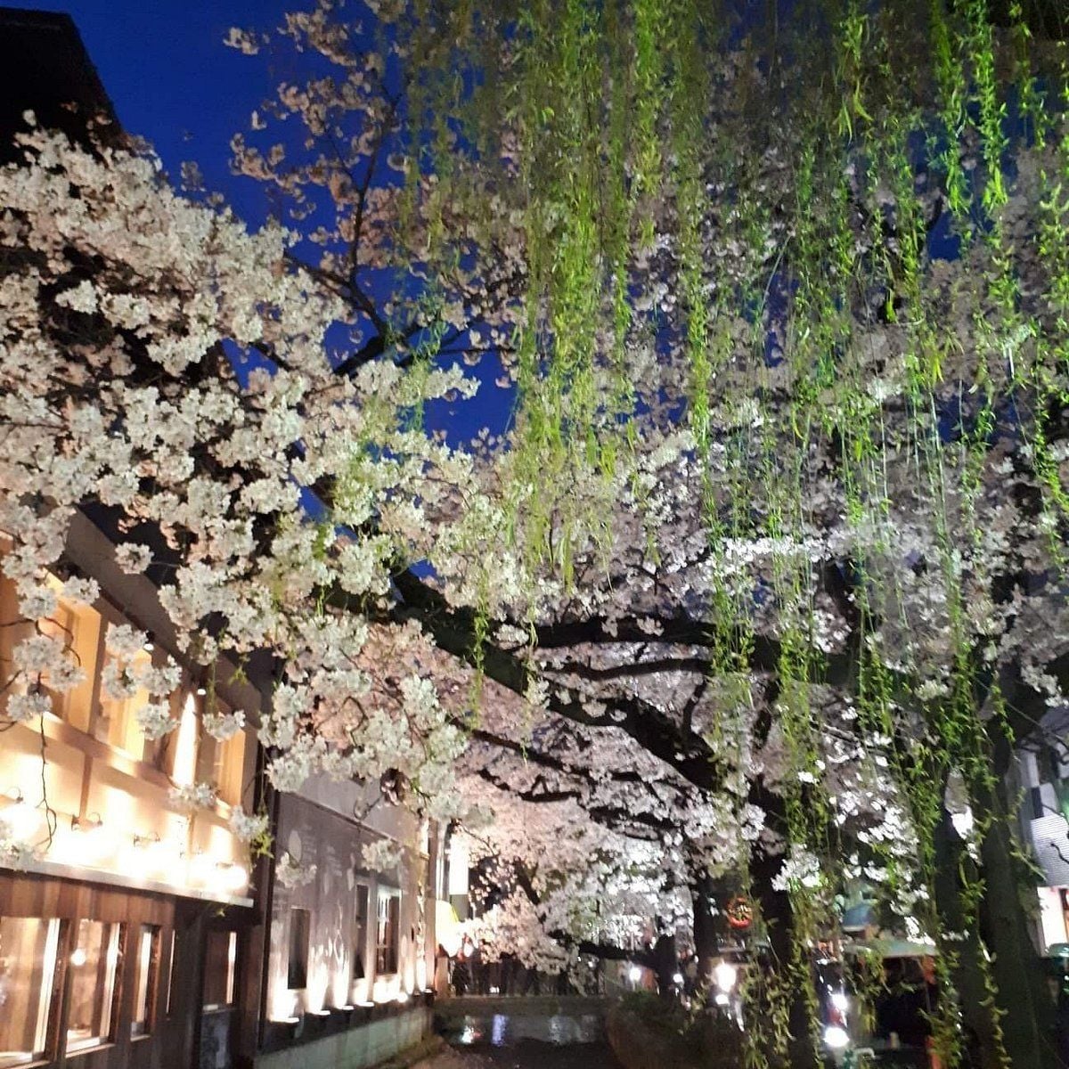 Takase River Walk