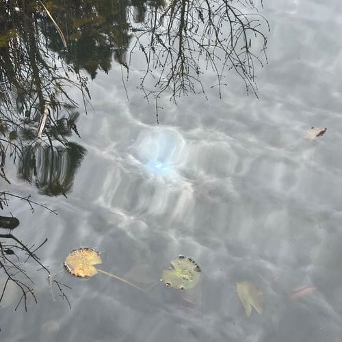 a balm to the nervous system