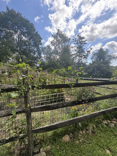 Getting “The Garden Tour”