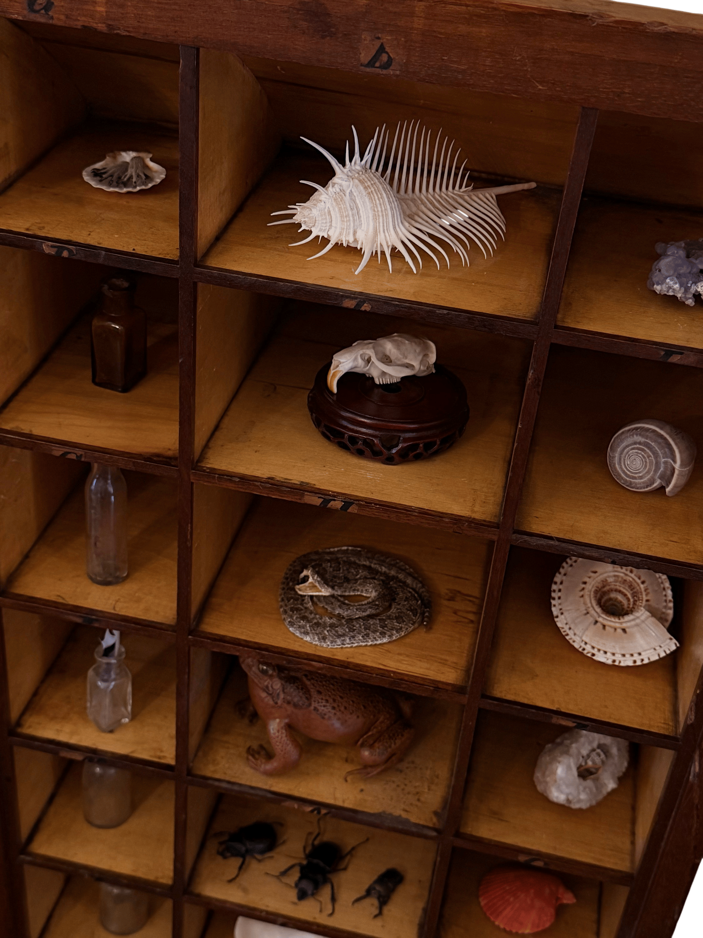 Trinkets
