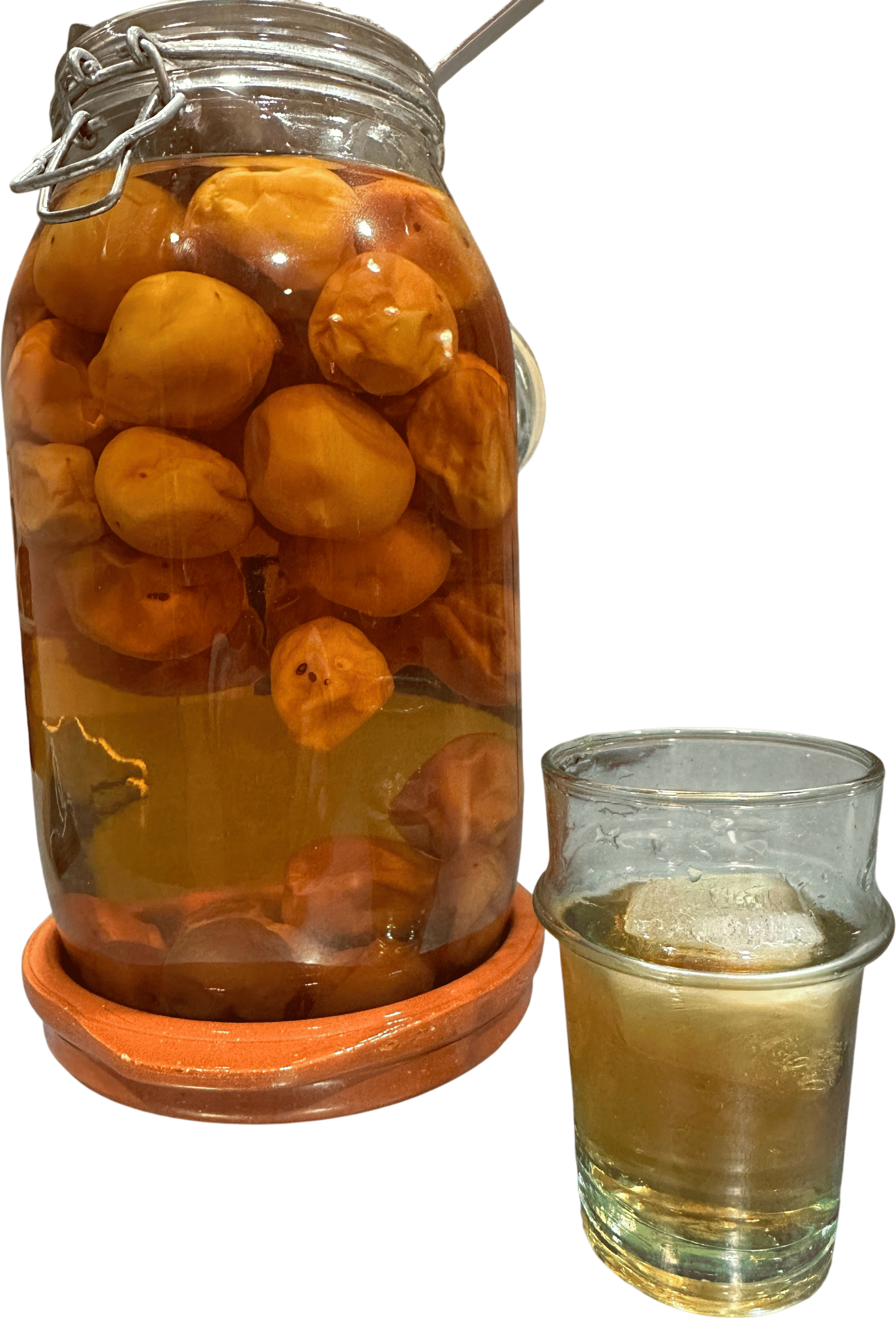 Homemade Umeshu