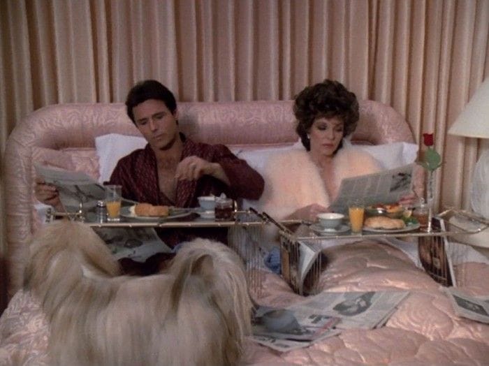 days of our wives