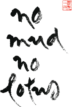 No Mud No Lotus (Thich Nhat Hanh)