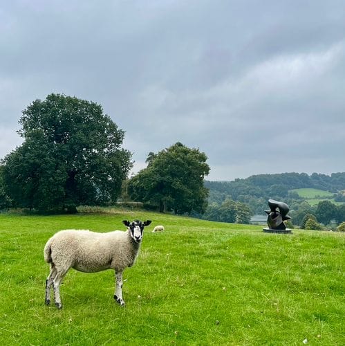 Yorkshire Sculpture Park (West Bretton, UK)