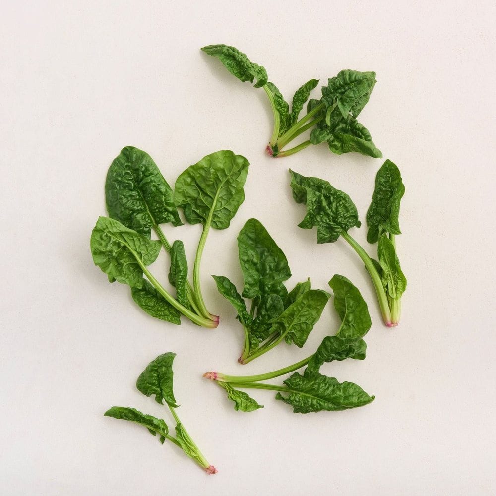 Winter Bloomsdale Spinach Seeds (Row 7 Seed Company)