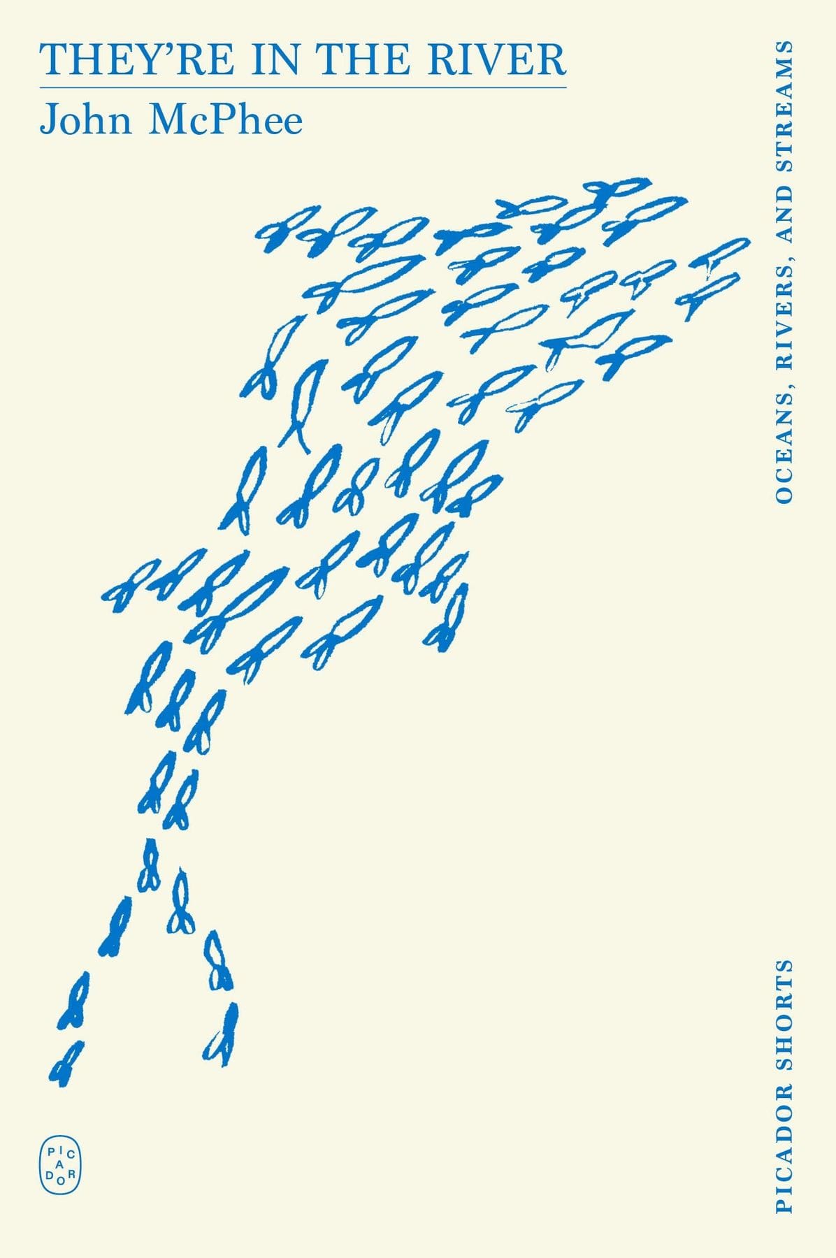 Picador Shorts