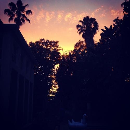 Angeleno