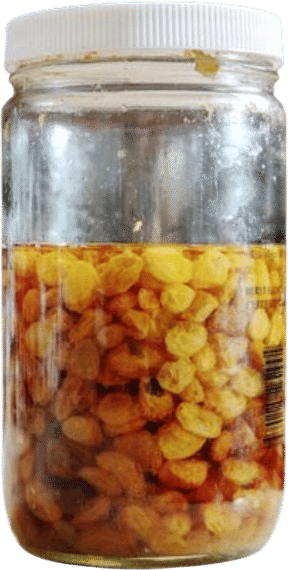 A Spoonful of Drunken Raisins