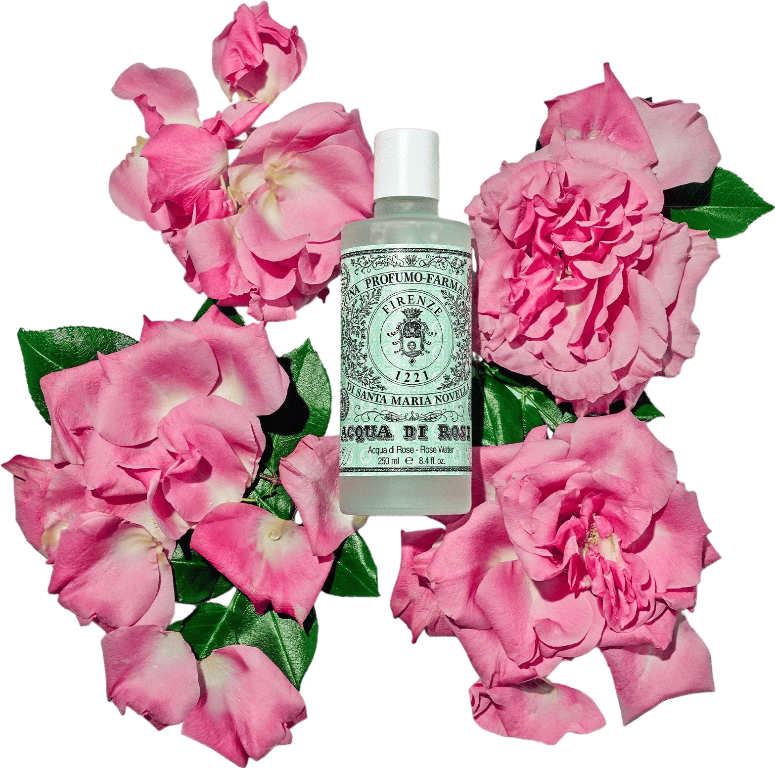 Acqua di rose