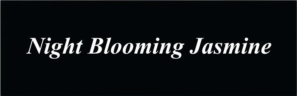 Night Blooming Jasmine Bumper Sticker