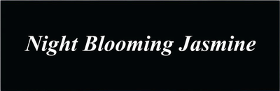 Night Blooming Jasmine Bumper Sticker