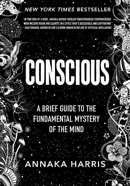 Consciousness (Annika Harris)
