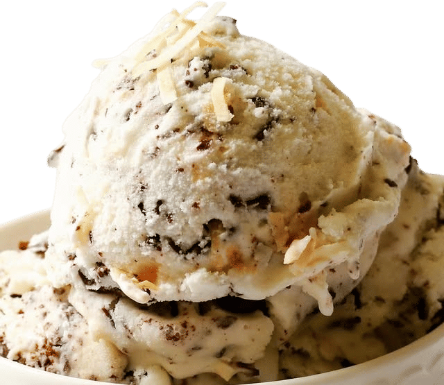 Toasted Coconut Chocolate Chip Ice Cream Recipe