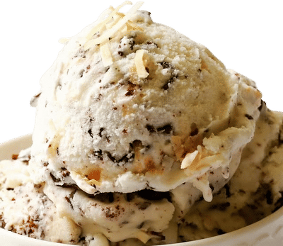Toasted Coconut Chocolate Chip Ice Cream Recipe