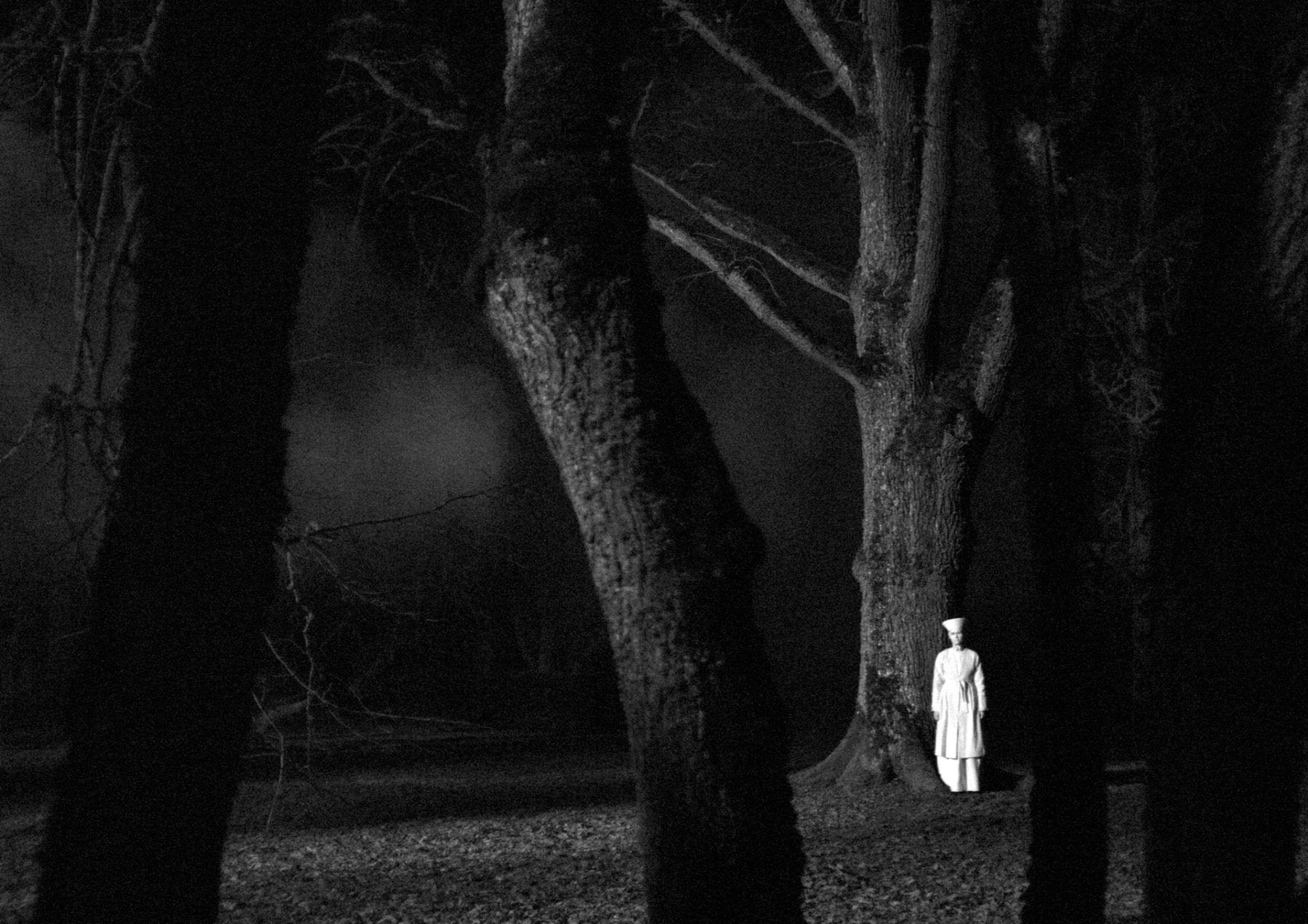 November (2017)