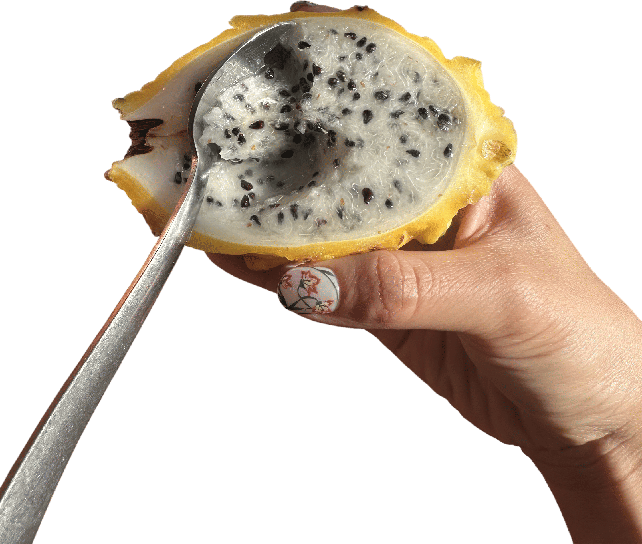 Yellow dragonfruit, from the fridge
