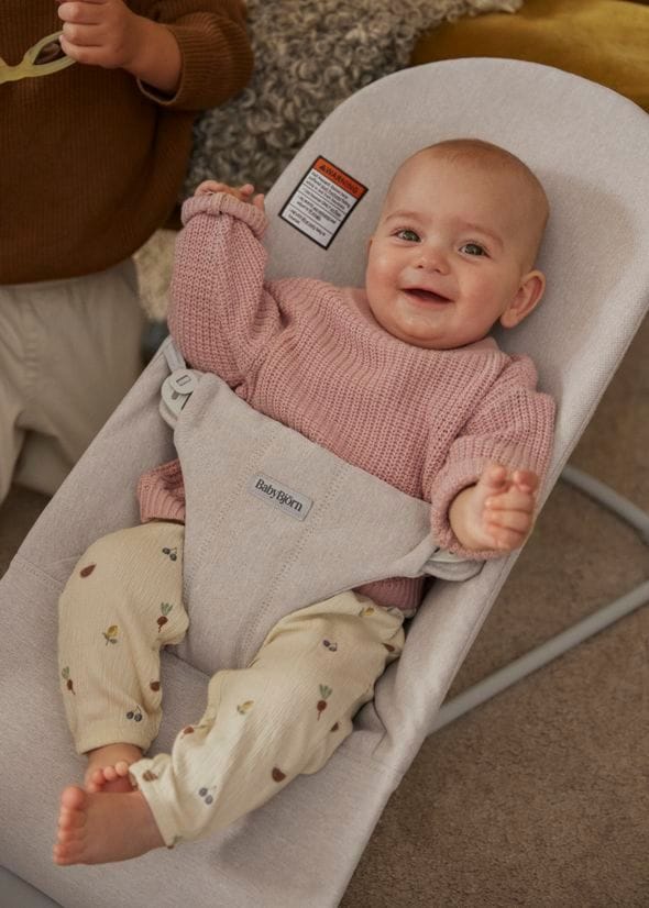 baby bjorn bouncer