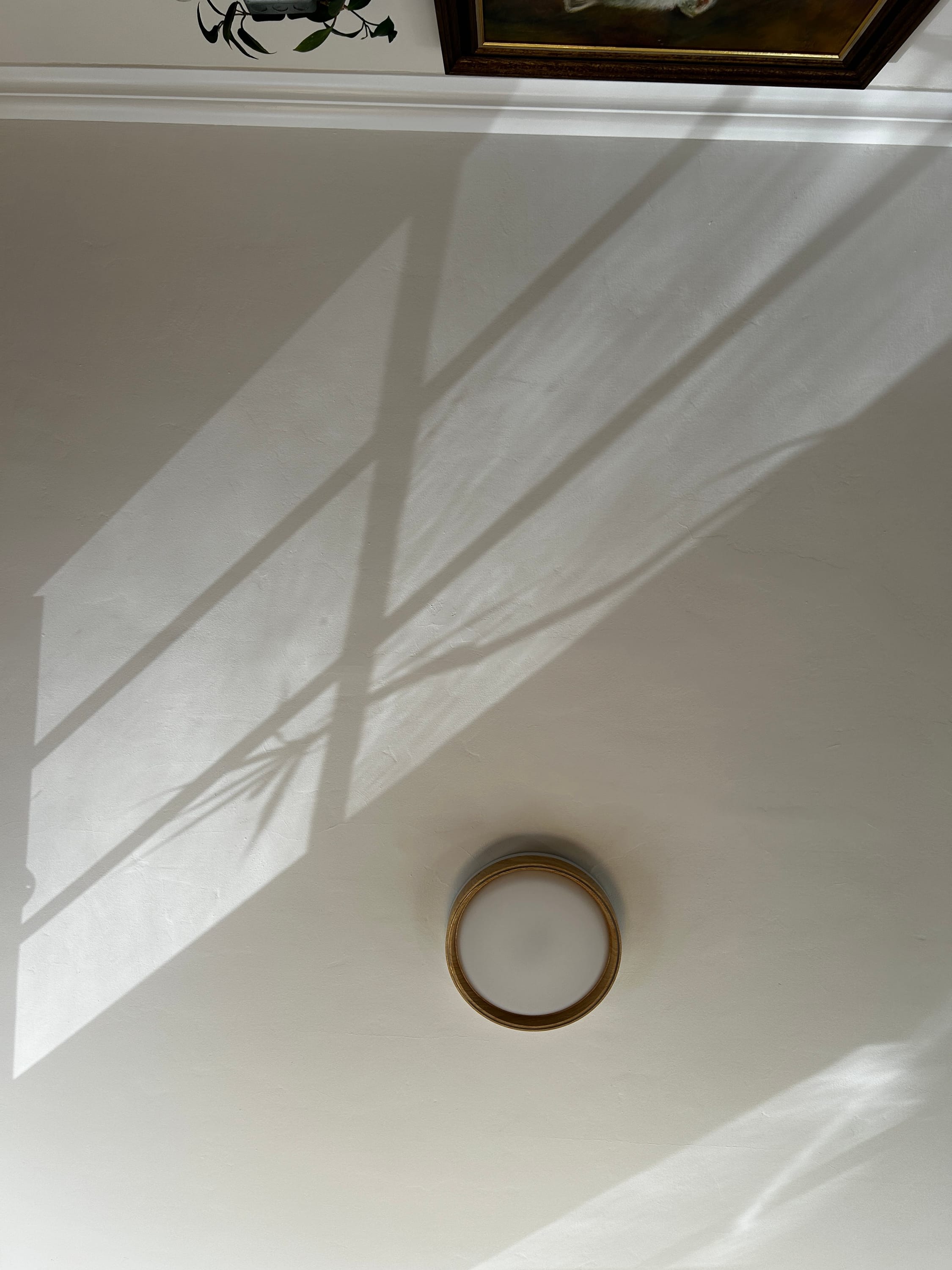 noticing shadows
