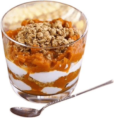Pumpkin yogurt (not very good)