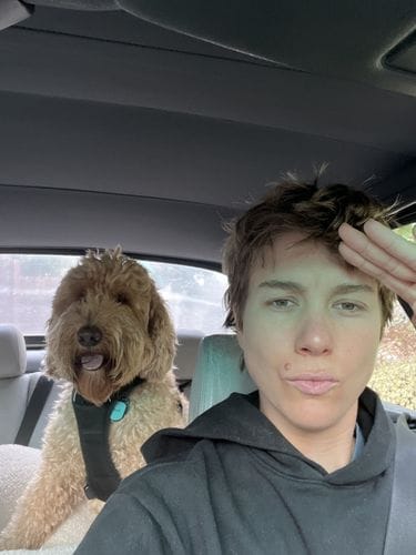 not-so-mini-golden-doodle