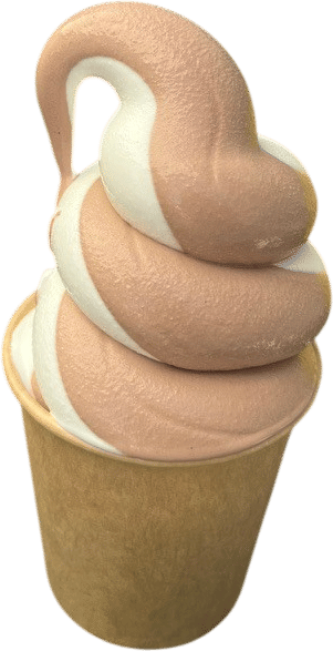 Buffalo Milk Soft Serve at Rory's Other Cafe