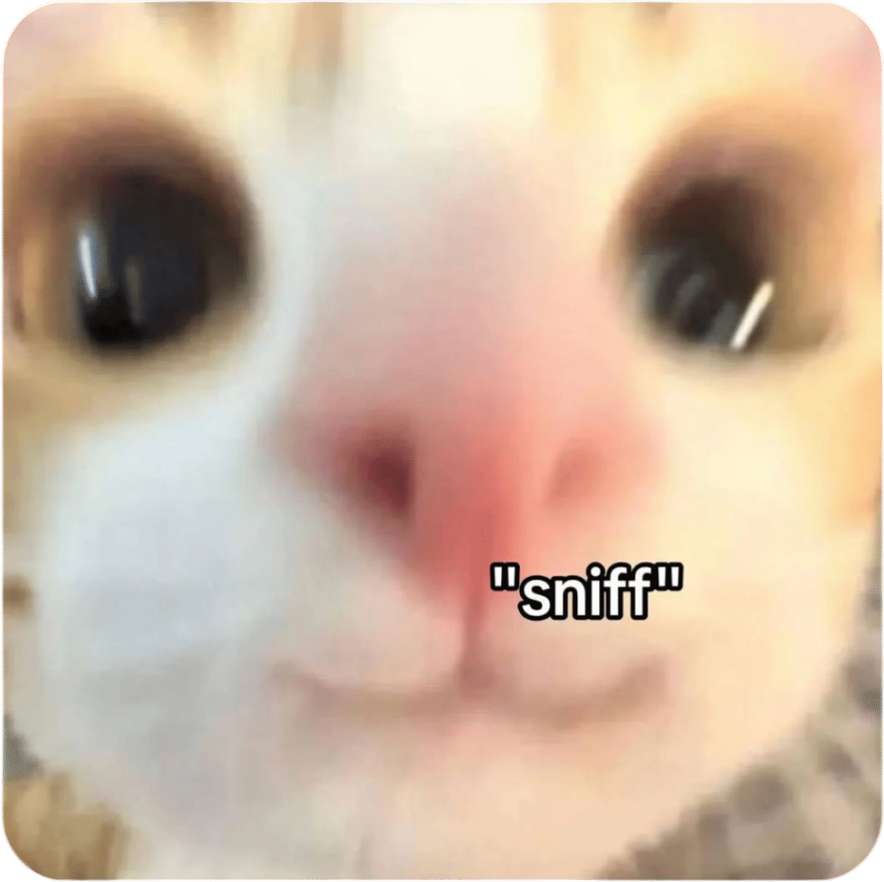 tell people they smell good