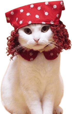 This Is The Modern World with Trouble on WFMU