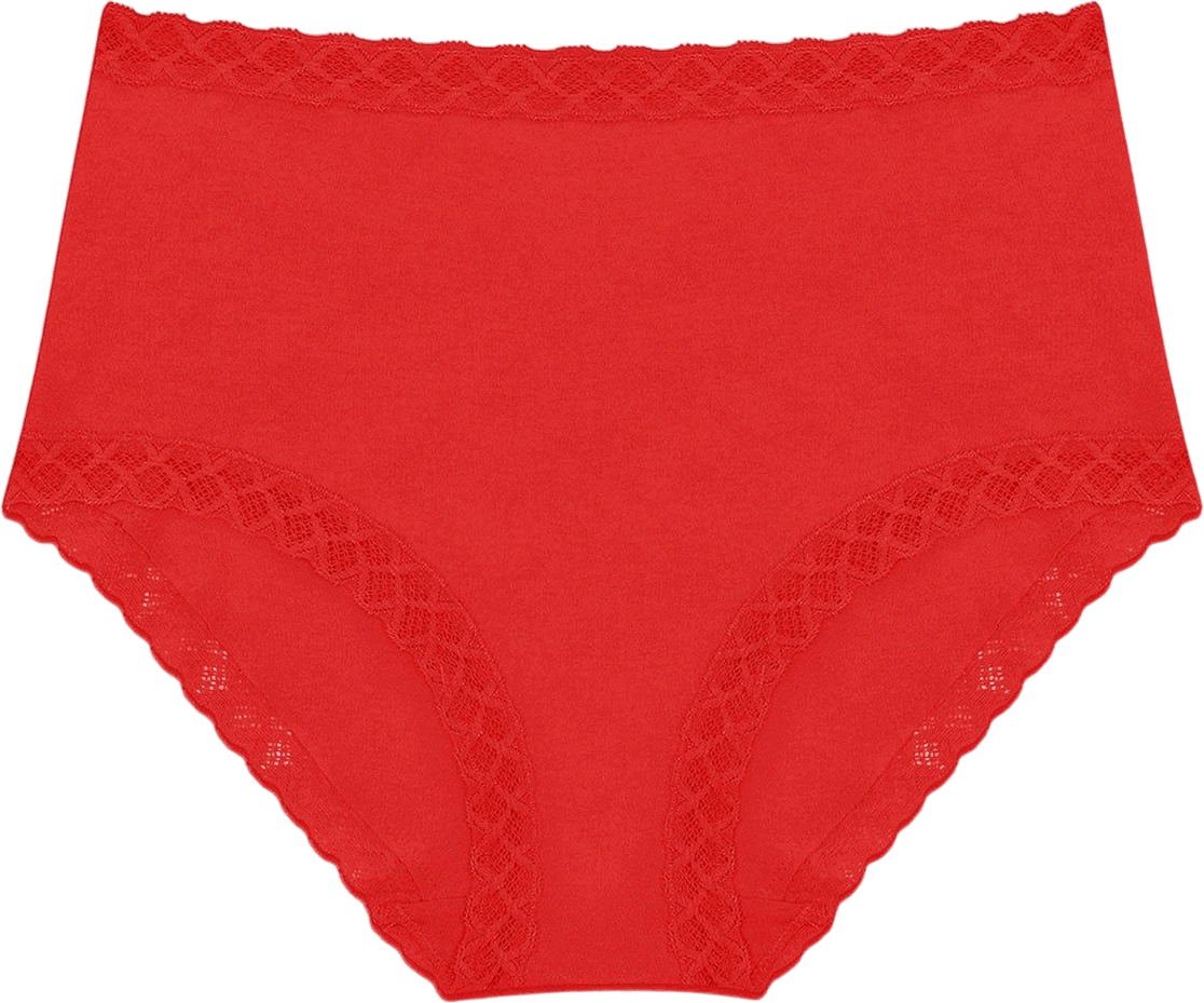 Natori Bliss Full Brief