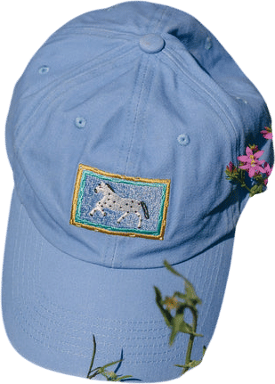 Tarta Gelatina - Little Horse Cap - Washed Blue