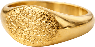 Snoetjes Signet Ring
