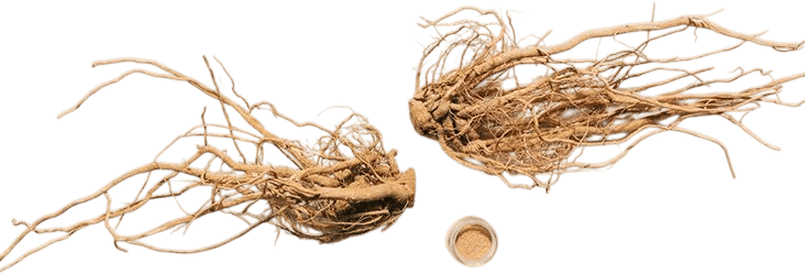 ashwaganda