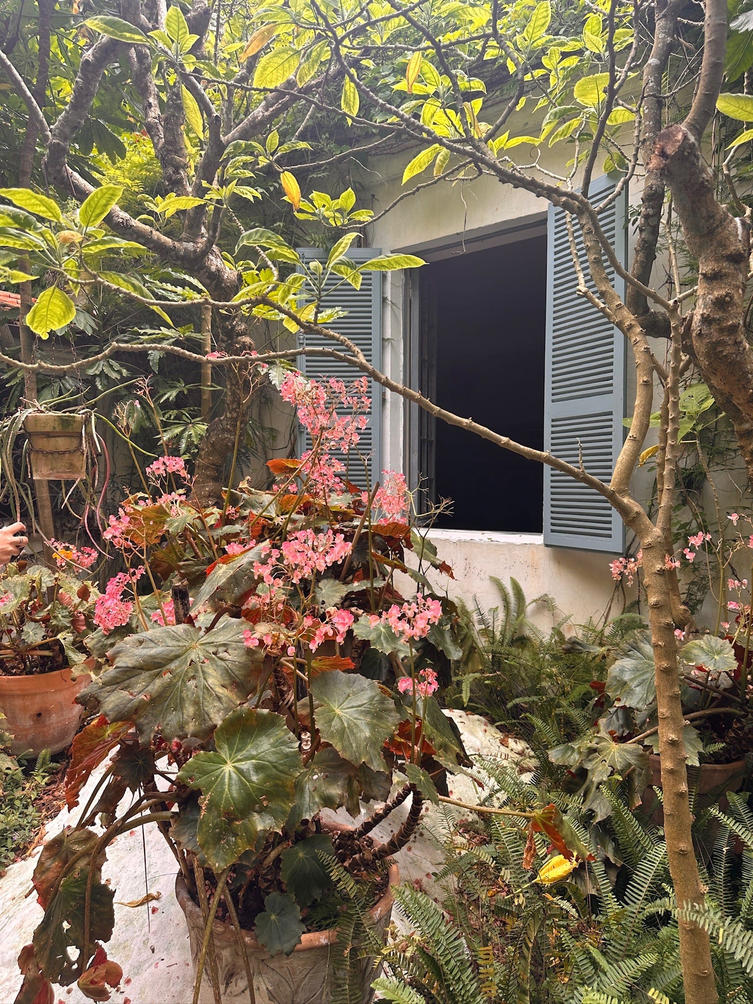 A private tour of a magnificant Tangier garden.