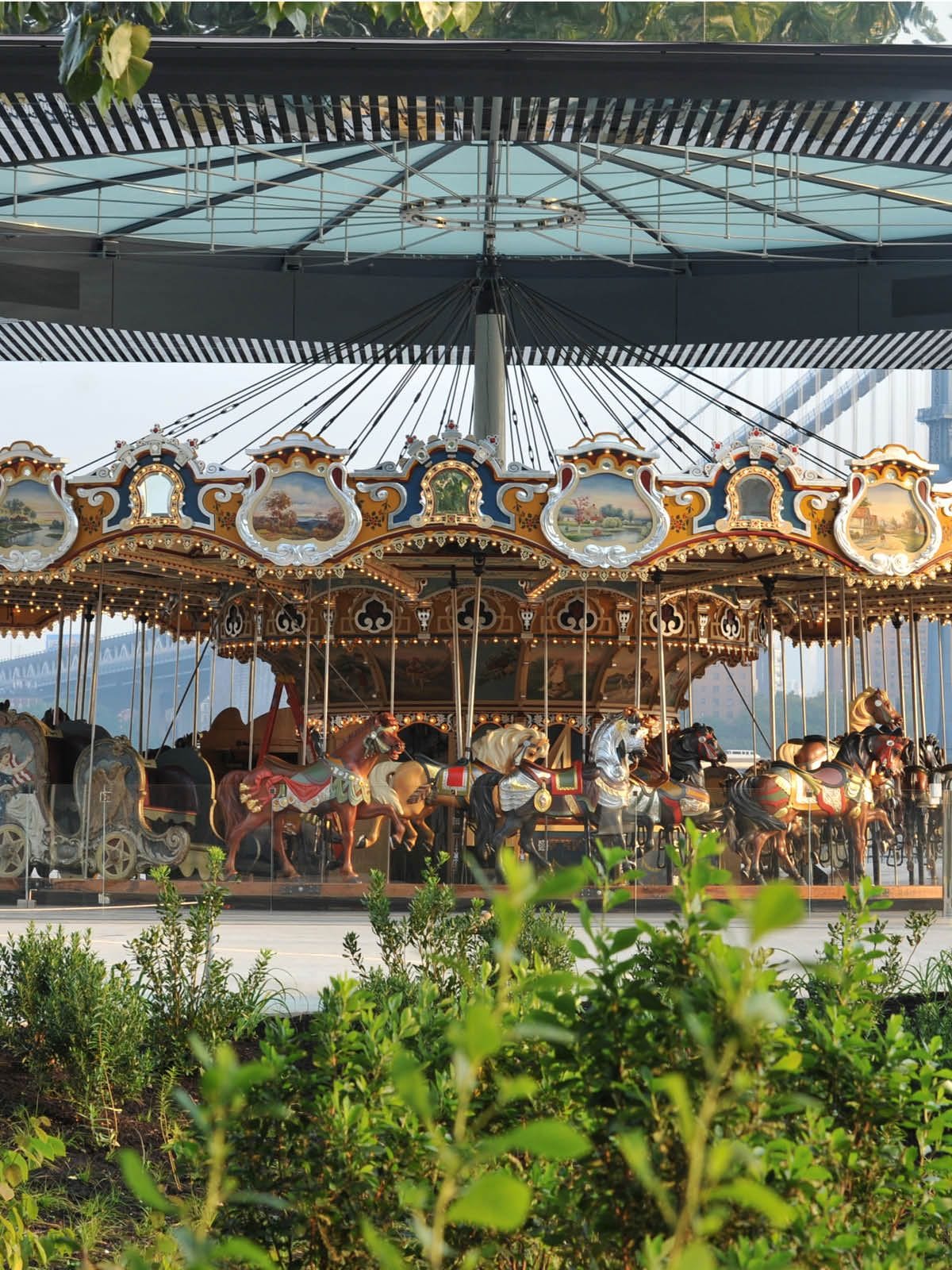 Jane’s Carousel