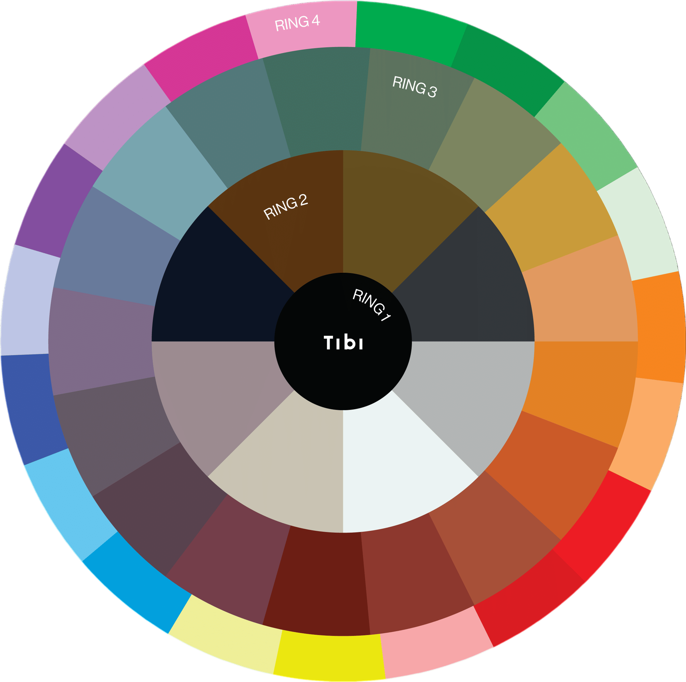 Tibi Color Wheel
